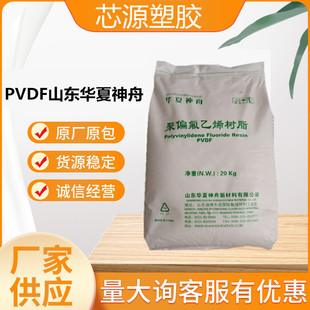 PVDF Shandonghua Xia Shenzhou DS205 High Temperature Resistant Polyvinyl Particles Teflon Raw Materials