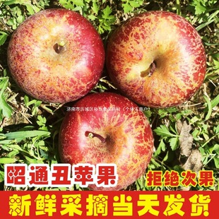 2025��t¶�����ͨ���O�����r��ͨ�б����ĳ��O��ˮ����������