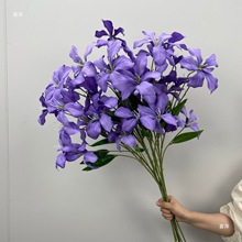 cɫϵĵֻĻYõbٻ·廨