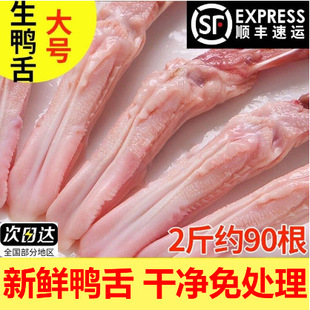 ����S����̖����4��������r���r����ڗlȥ��̦��̎����؛�uζ