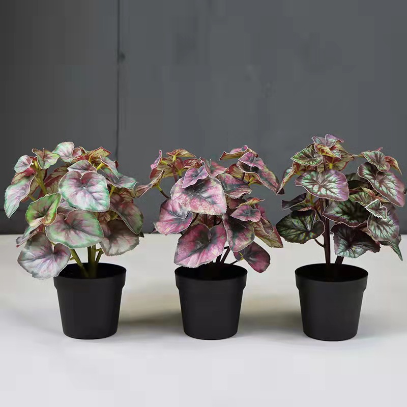 O1CN01Xw7IM61watr1uosRT_!!2212