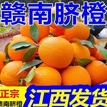 �M��Ě�Ƚ��������M�ݮ���������Ě�ȹ��������rˮ�����]Դ�^؛Դ