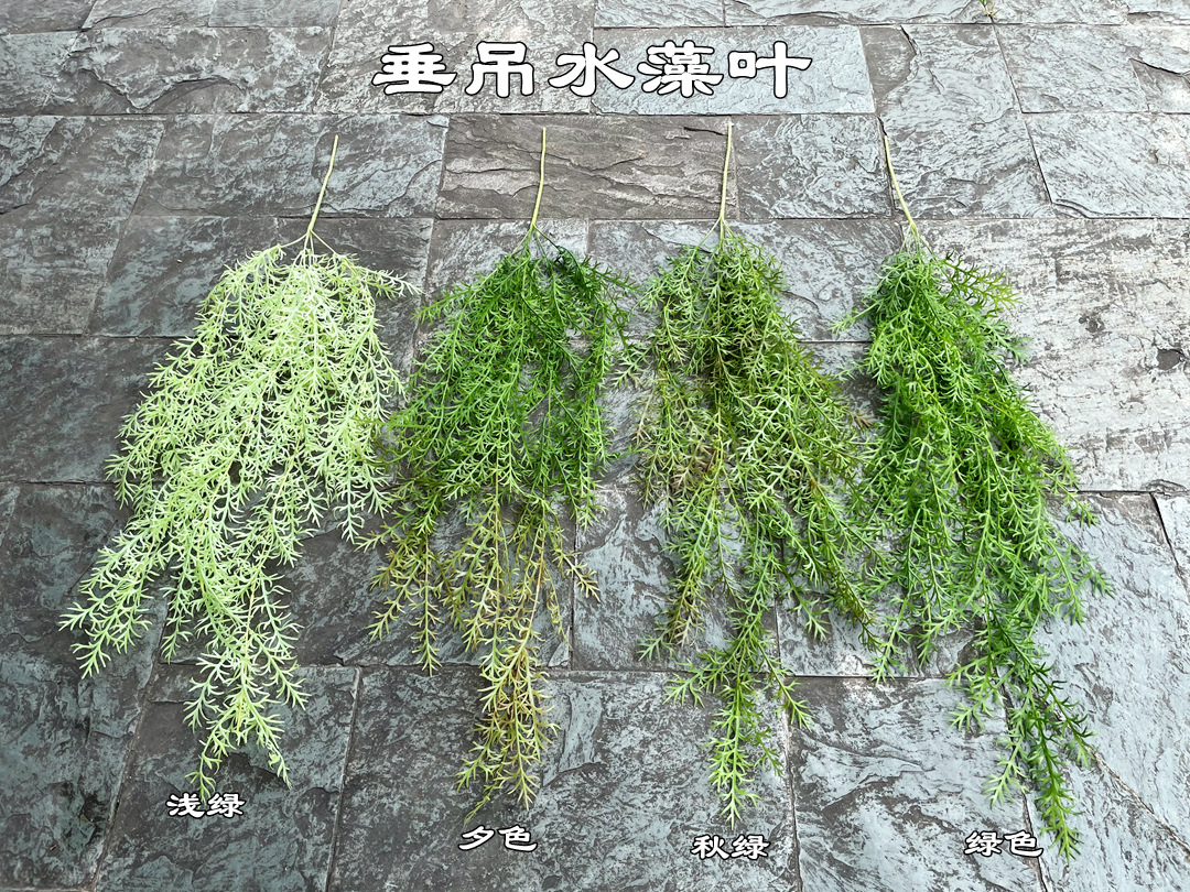 微信图片_20210712123504_副本.jpg