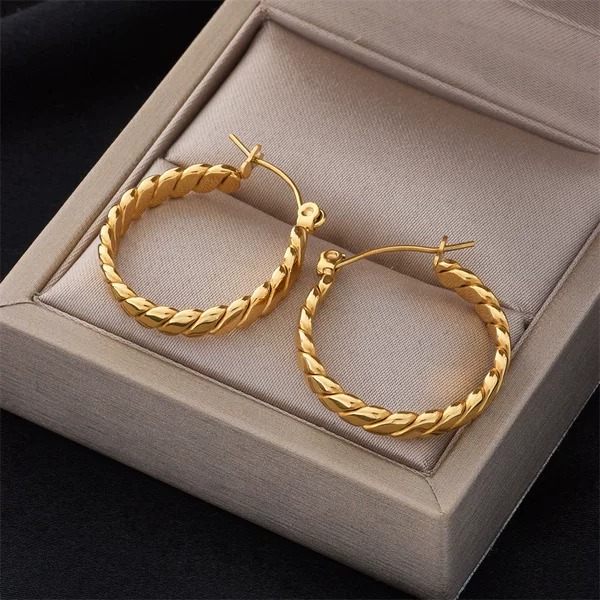 European and American Style Ins Titanium Steel Non-Fading Gold Thick Round Braided Earrings, Versatile and Stylish Ear Hoops, In-Stock for Cross-Border Sales