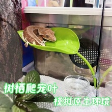 �䗫�����~���P����ֲ�������������쾰�޽��،m�Ѡ�����ˮ��C