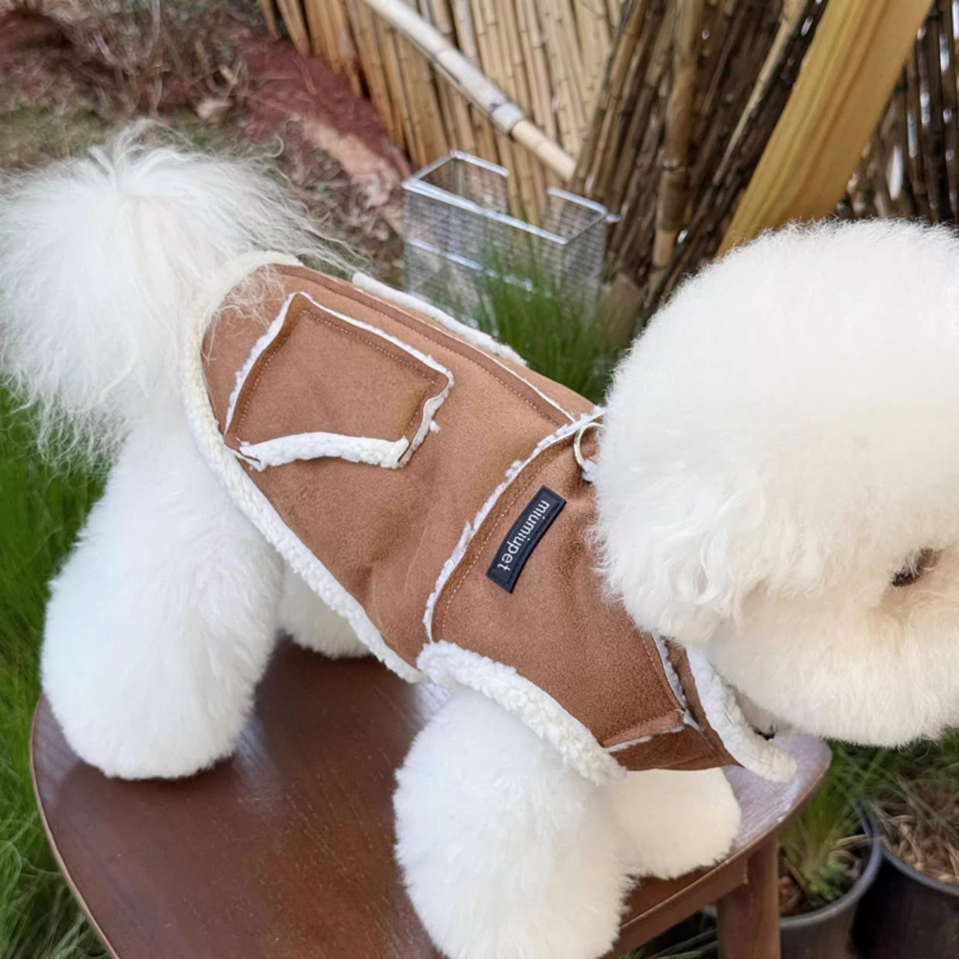 Moletom com capuz de inverno para cães pequenos bichon yorkshire_voghion.com