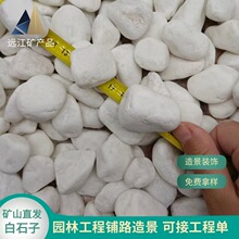 白石子造景白米石鹅卵石庭院建设园林景观水洗石水磨石子