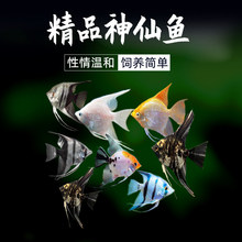 �~���^�p�~�߲������~�Ꭷ���������������~���B��ˮС���~С����