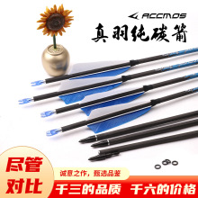 4.2/6.2�ȏ�����̼�����y���C���������������\�ӱ�ِ��֧