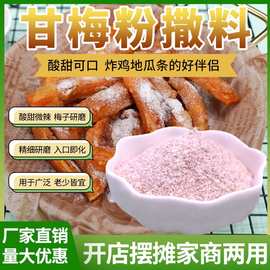 甘梅粉商用梅子粉撒料粉地瓜粉鸡排薯条原撒料调味料家用撒粉