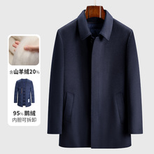���������ʿ����95%�Z�q��đ�ɲ�ж����q���L����ë�ر�ů����