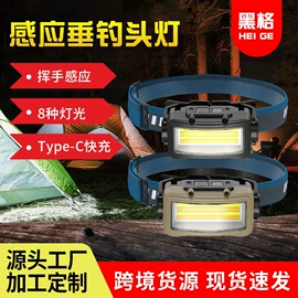 头灯头戴电筒;野营/露营灯;提灯
