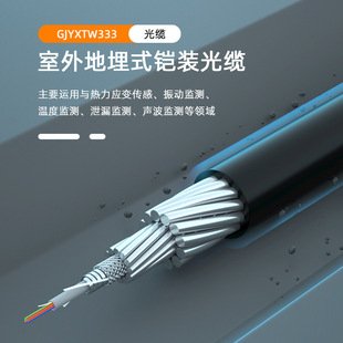 Heavy armored buried sensing optical fiber/temperature measurement/vibration/communication/double-layer steel stranded wire stranded optical cable special cable