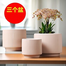 մһllTEMUN˴СڏбP͸Gֲ