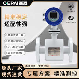 西派智能电磁流量计污水腐蚀泥浆液体矿浆高精度管道流量计灌溉