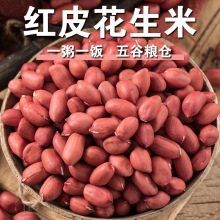 �t����ɽ�|�����t����������؛�������u���S�����{�� �tƤ������f