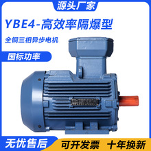 YBX4粉尘隔爆型三相异步电动机380V二级马达芯煤安防爆变频电机