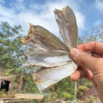 xc无头咸鱼干半干小黄鱼白姑鱼黄花鱼干渔民自制风干新鲜山东特产