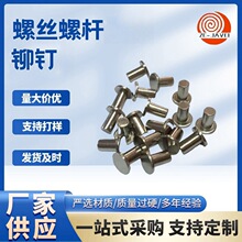 �ݽz�ݗU�T�0310�B�m�Λ_�ͺ����_�����������ᔸߏ�����