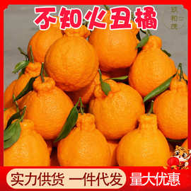 正宗四川不知火丑橘5斤整箱柑橘当季新鲜水果10批发包邮3橘子丑桔