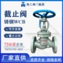 硬密封回流定制蒸汽闸阀