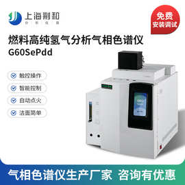 荆和 燃料氢能源分析仪 G60SePdd 高纯氢气分析气相色谱仪