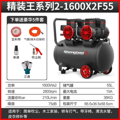 Hava kompressorları — 9L air pump 30L small - shengtian-55l-air-pump-2x1600w