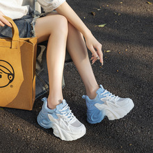 ��׃������ϵ�ЬŮ2026���ļ��¿�W͸���p��u׃ɫ�\�����eЬ