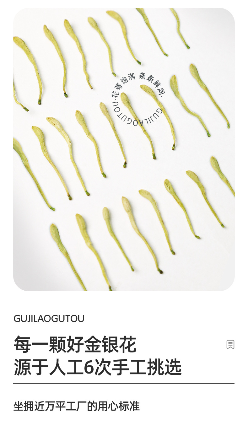 Dried Honeysuckle Flower Tea Jin Yin Hua Floral Herbal Infusion 12 Month Shelf Life specifications