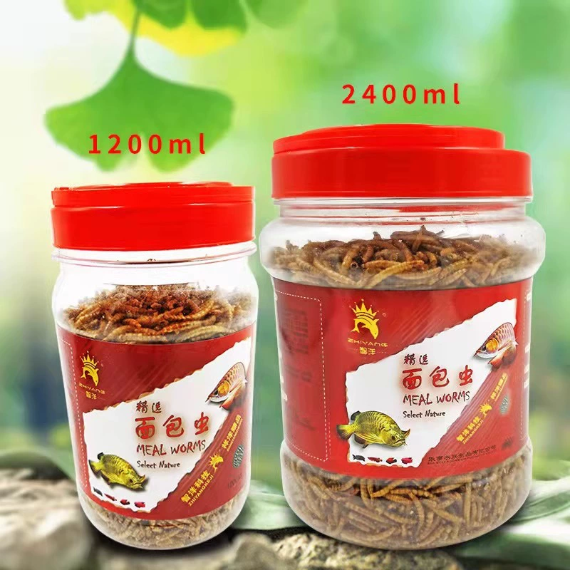 Сушеные мучные черви для хомяков, мучные черви, живые ячменные черви, сороки, черепахи, корм для птиц, живой корм для рыбалки.
