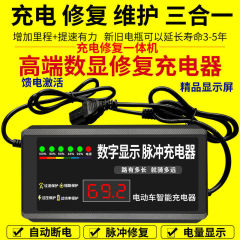 電気自動車の充電器のメンテナンス バッテリーの活性化 鉛蓄電池のパルス