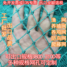 渔网养殖网鸡网捕鱼网围边网护栏网尼龙网防鸟网天顶网爬藤网渔网