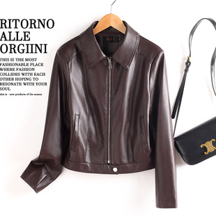 2025���ﶬ�¿�Ƥ��Ů�̿��n������С���әC܇��ⷽ�IƤ�A������