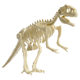 Archaeological excavation dinosaur skeleton wholesale large Tyrannosaurus Triceratops Stegosaurus Pterosaurus skeleton manufacturer