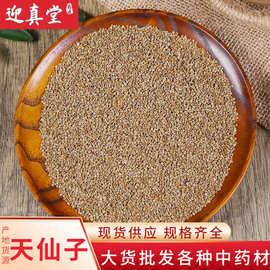 中药材批发供应 北天仙子 南天仙子 冷背药材一站式采购 承接大货