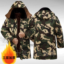 �Բ��޷�������Ů�������L��ӽq�Ӻ����������ڱ�����������