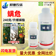 Ӣ\Σ \O޻t֩뚢\xrș