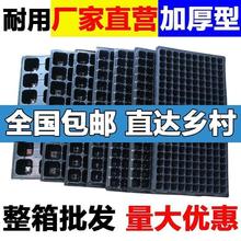 ����PѨ�P�������l�Ӻ�������I�B���бP�������t���߲������r��