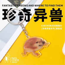 �ɐ�cheems����耳׿ې����Ц4-5CM�������������С�Y��D�۵���