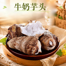 云南牛奶芋头 代发1/3/5/9斤红芽毛芋奶油芋艿小香芋蔬菜新鲜水果