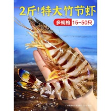 �Ź��r����߹��r�ش����r�����r���r���r�r�r���ك����r�ڻ��r