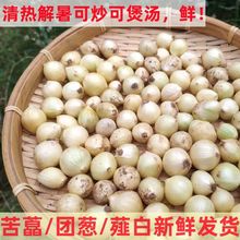 �Ĵ��خa���r��ˊ�F�[С������Ұ�[�^�������С��ޯ���F��ޯ��