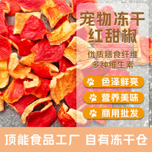 宠物冻干蔬菜厂家 按需代加工冻干红甜椒 片状块状 狗狗幼犬零食
