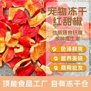 ��������߲ˏS�� ������ӹ����ɼt�� Ƭ��K�� ������Ȯ��ʳ