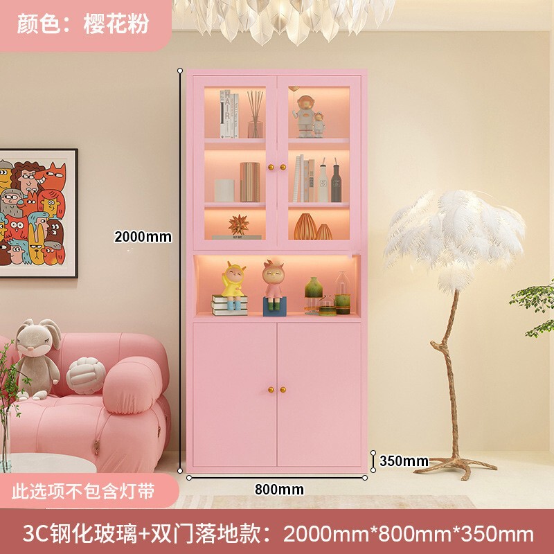 钢制书柜玻璃门防尘书架简约现代铁艺置物柜客厅储物柜家用展示柜|undefined