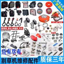 ݙCȫ_PӺ^ؓܛSPݙCͨ