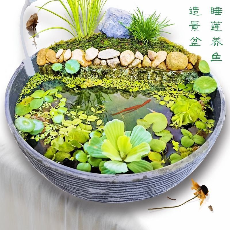 古法养鱼养荷花碗莲睡莲花盆造景乌龟金鱼缸塑料树脂创意水培|undefined