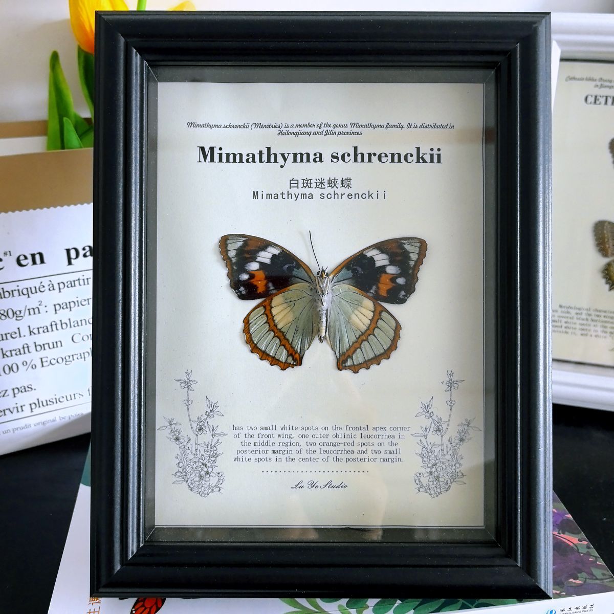 european-style handmade black photo frame hollow butterfly specimens frame three-dimensional dried flower decoration picture frame mounting office table