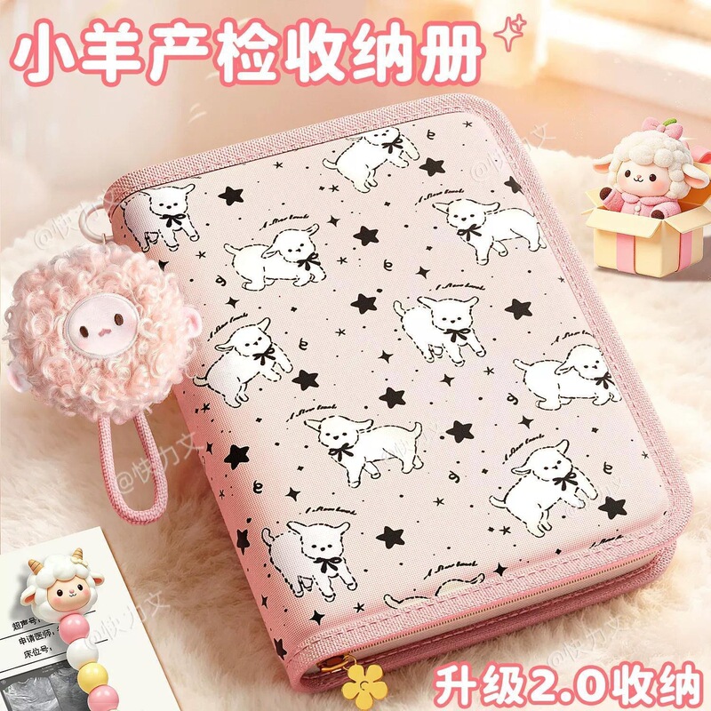 Pregnancy Check-Up Storage Book for Baby, Pregnancy Record Book for Mom, Pregnancy Report Document Bag, Zippered Portable Pregnancy Check-Up Storage Book for Baby, Pregnancy Record Book for Mom, Pregnancy Report Document Bag, Zippered Portable