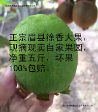 陕西眉县徐香猕猴新鲜水果桃绿心奇异果时令弥猴桃2023